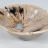 Schale versteinertes Holz 52363