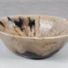 Schale versteinertes Holz 52363