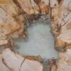 Schale versteinertes Holz 52363