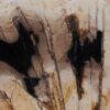 Schale versteinertes Holz 52363