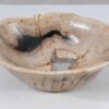 Schale versteinertes Holz 52363