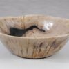 Schale versteinertes Holz 52363