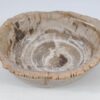 Schale versteinertes Holz 52370