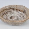 Schale versteinertes Holz 52370