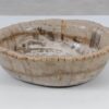 Schale versteinertes Holz 52370