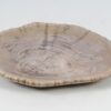 Teller versteinertes Holz 52393
