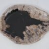 Teller versteinertes Holz 52396