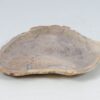 Teller versteinertes Holz 52400
