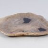 Teller versteinertes Holz 52401