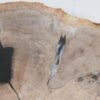 Teller versteinertes Holz 52401