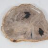 Teller versteinertes Holz 52402