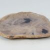 Teller versteinertes Holz 52402