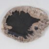 Teller versteinertes Holz 52403