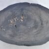 Coffee table petrified wood 38178