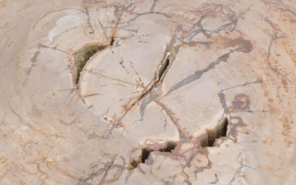 Coffee table petrified wood 43249