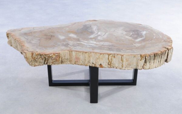 Coffee table petrified wood 44120