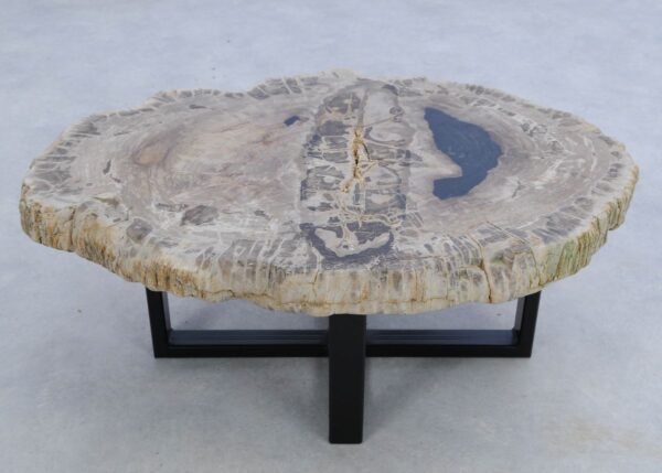 Coffee table petrified wood 45213