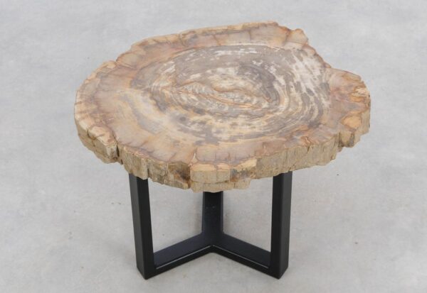 Coffee table petrified wood 48173