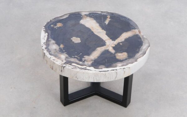 Coffee table petrified wood 49177
