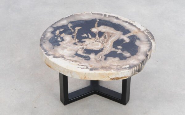 Coffee table petrified wood 49178