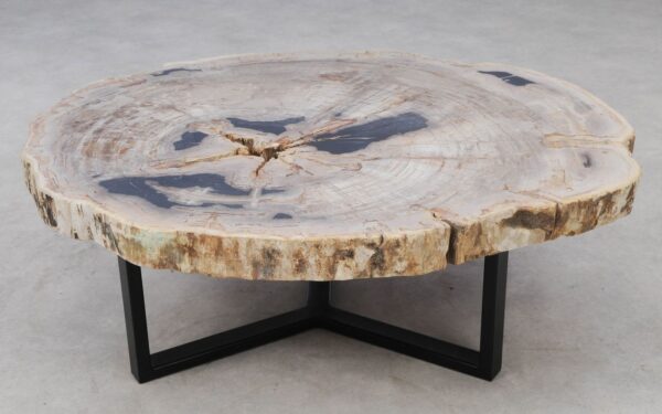 Coffee table petrified wood 52196