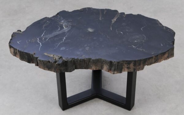 Coffee table petrified wood 53156