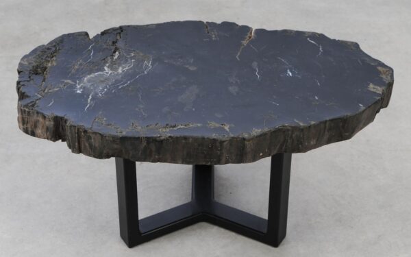 Coffee table petrified wood 53158