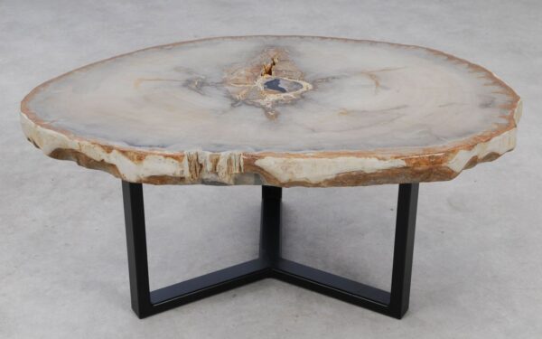 Coffee table petrified wood 53178