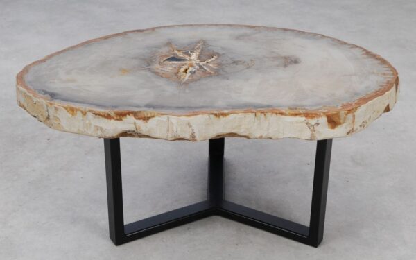 Coffee table petrified wood 53179