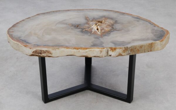 Coffee table petrified wood 53180