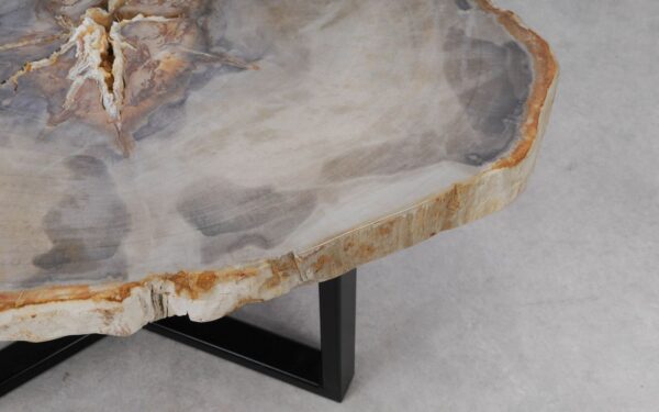 Coffee table petrified wood 53180
