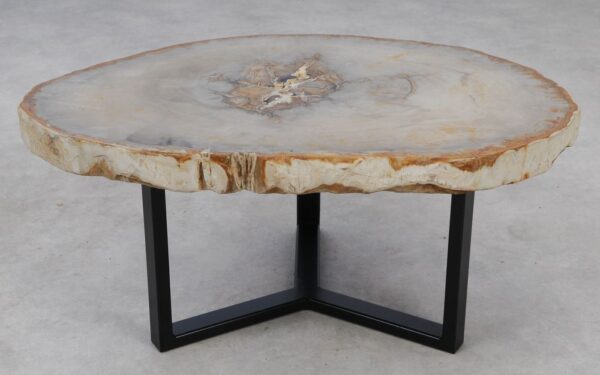 Coffee table petrified wood 53182