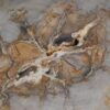 Coffee table petrified wood 53182