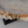 Coffee table petrified wood 53182
