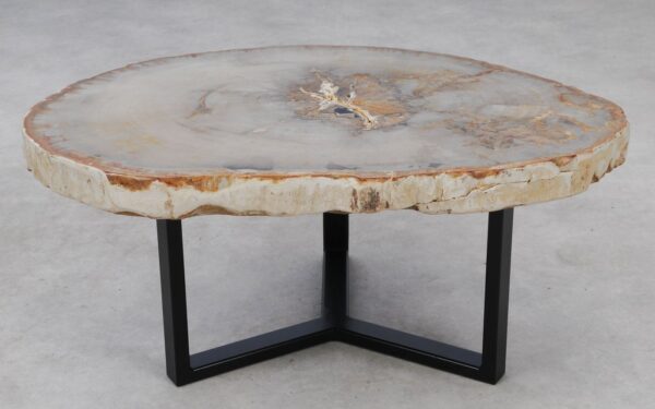 Coffee table petrified wood 53183
