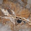 Coffee table petrified wood 53183