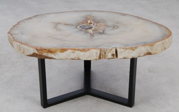 Coffee table petrified wood 53184