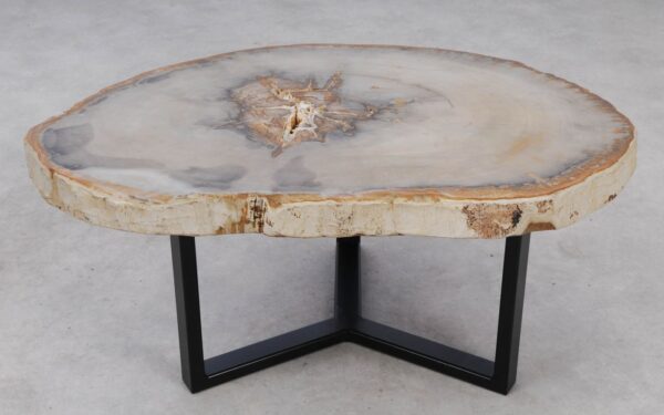 Coffee table petrified wood 53185