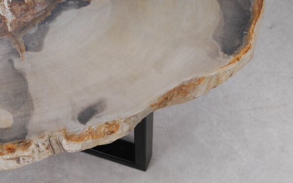 Coffee table petrified wood 53186