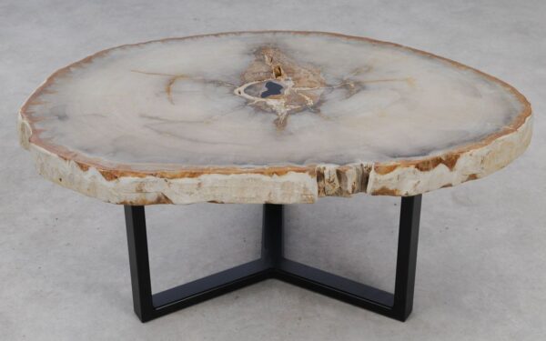 Coffee table petrified wood 53187