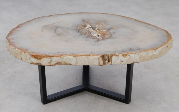Coffee table petrified wood 53188