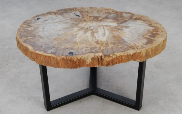 Coffee table petrified wood 53192