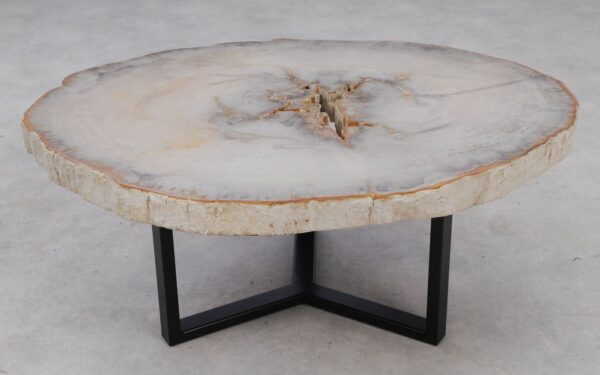 Coffee table petrified wood 53196
