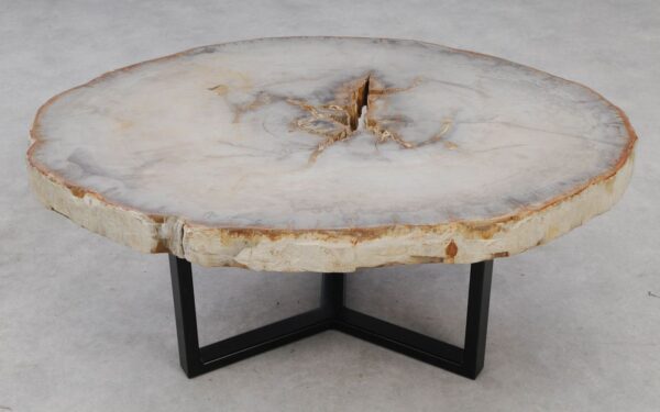 Coffee table petrified wood 53197