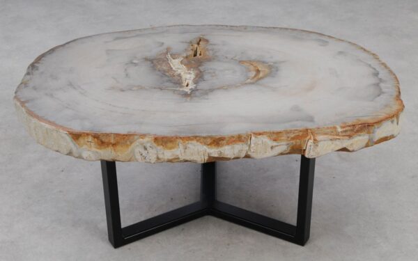 Coffee table petrified wood 53198