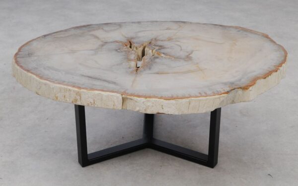 Coffee table petrified wood 53199