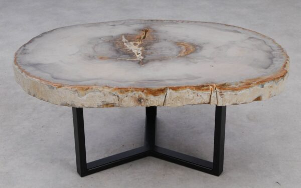 Coffee table petrified wood 53200