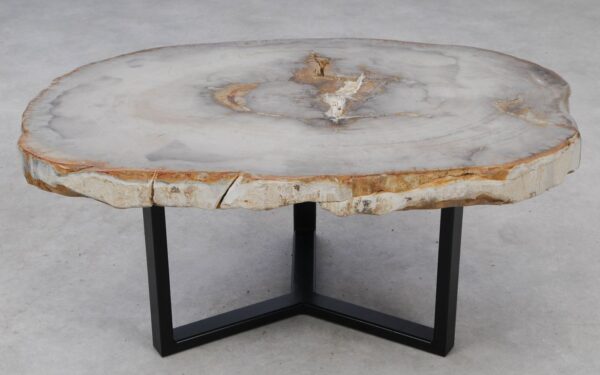 Coffee table petrified wood 53201