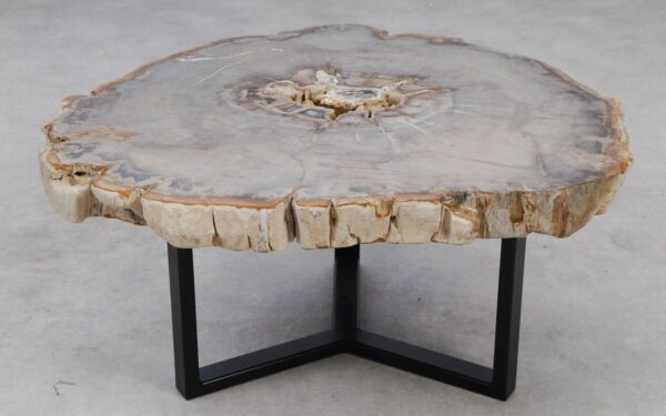 Coffee table petrified wood 53208