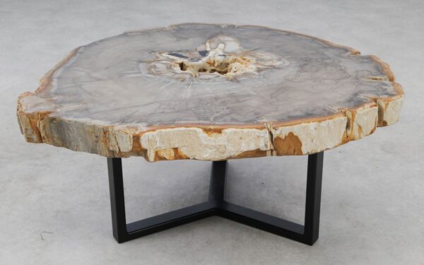 Coffee table petrified wood 53209